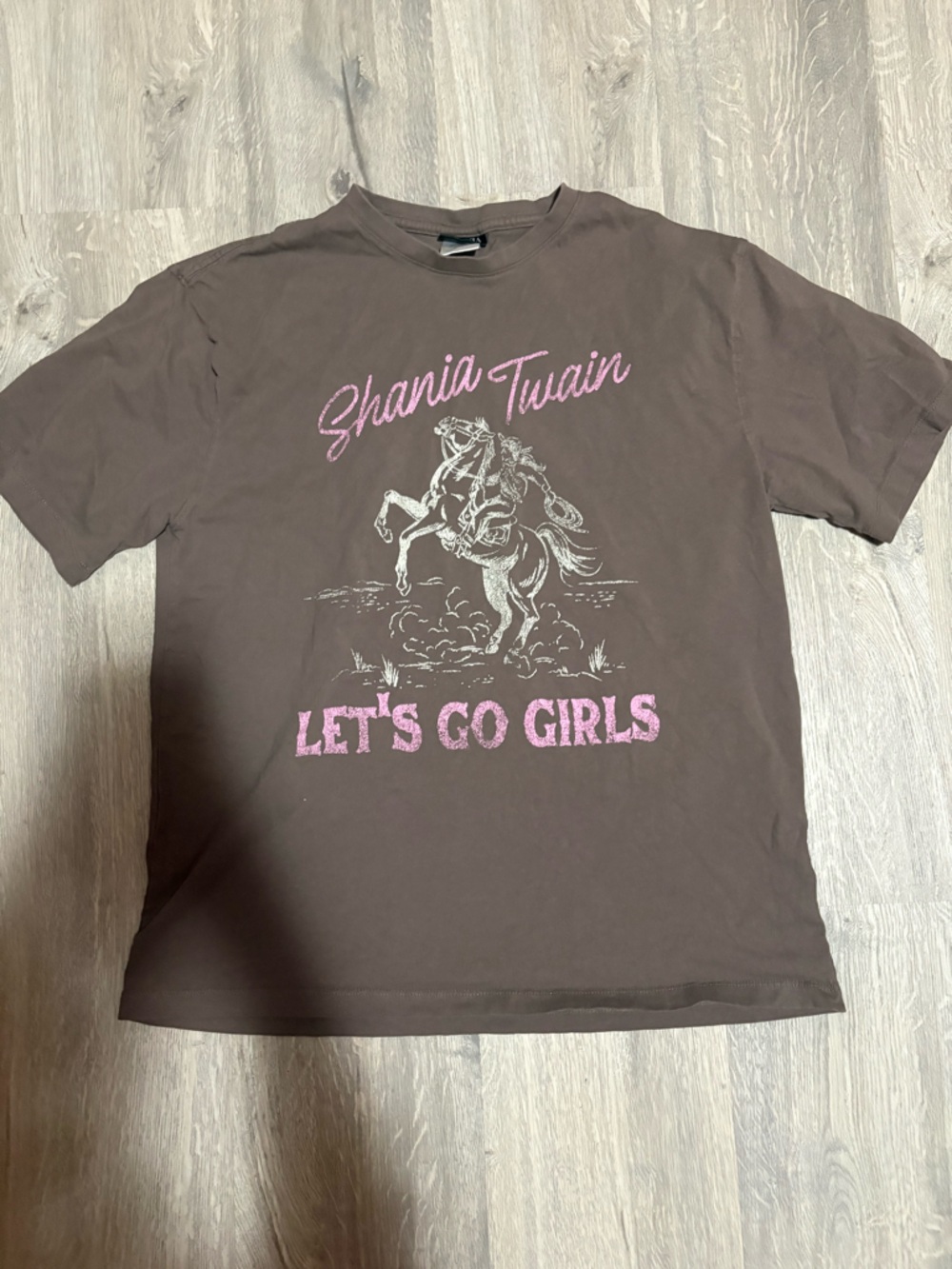 🌸Shania Twain oversized tee size medium